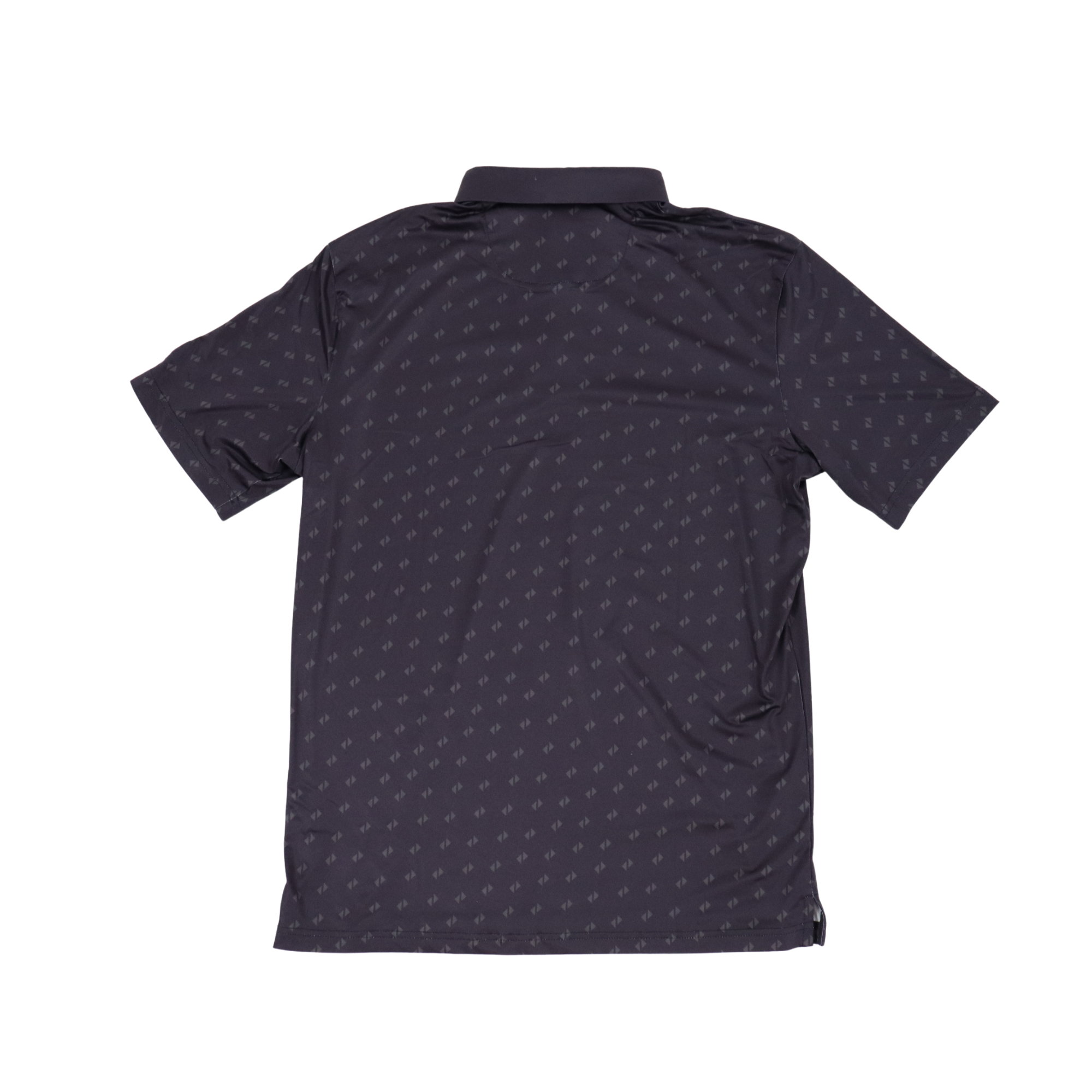 Ace Polo 1.0