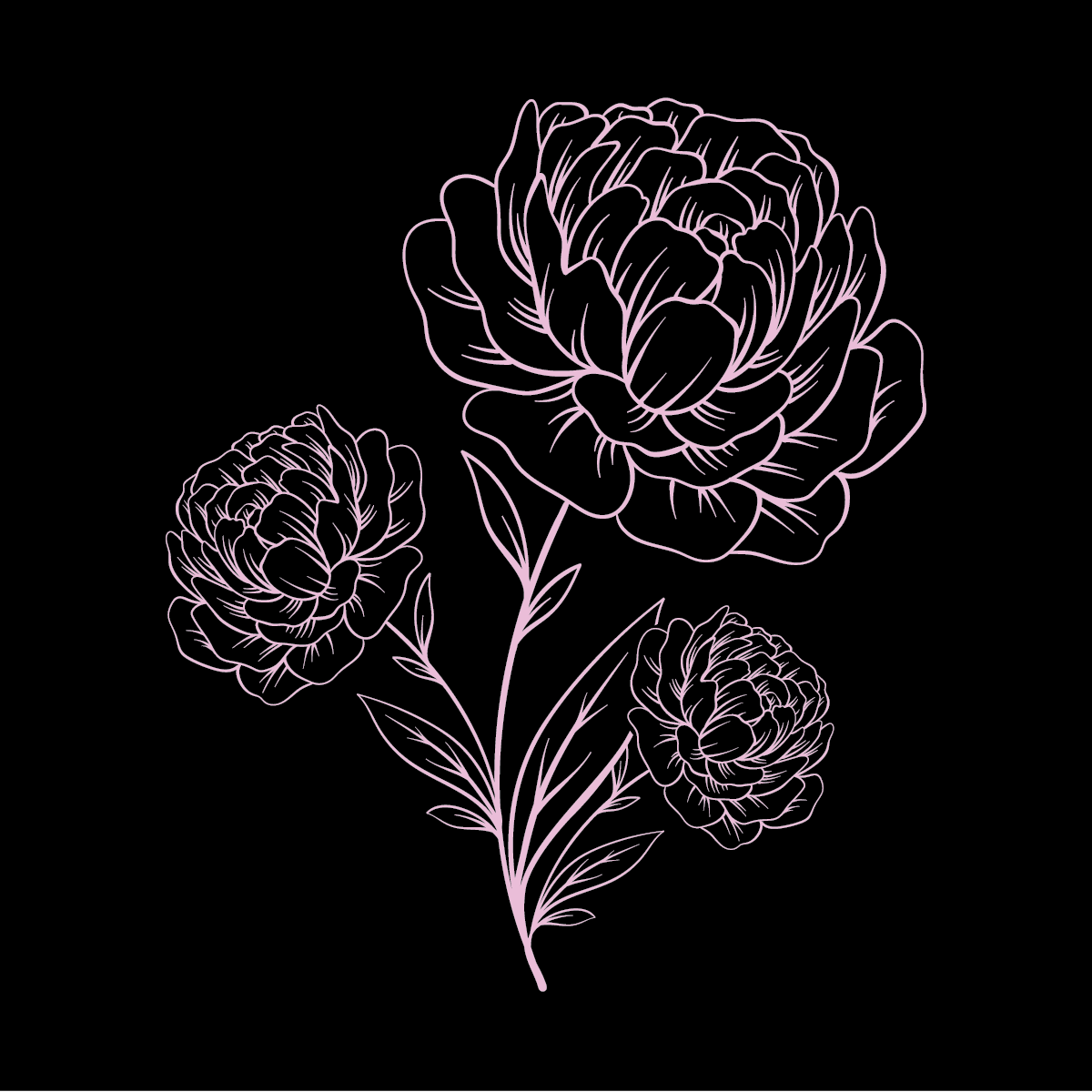 The Luxe Carnation Tee