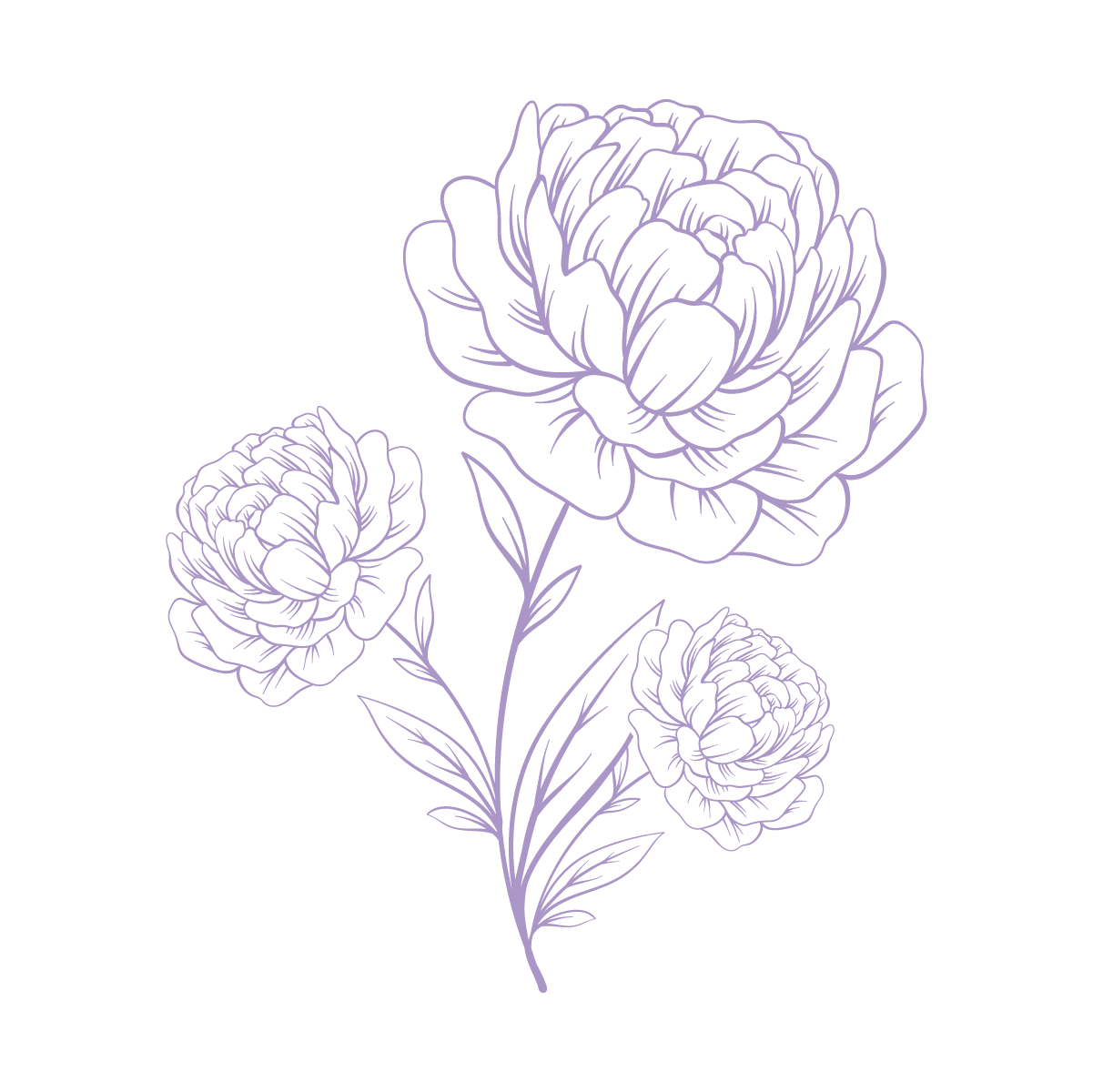 The Luxe Carnation Tee